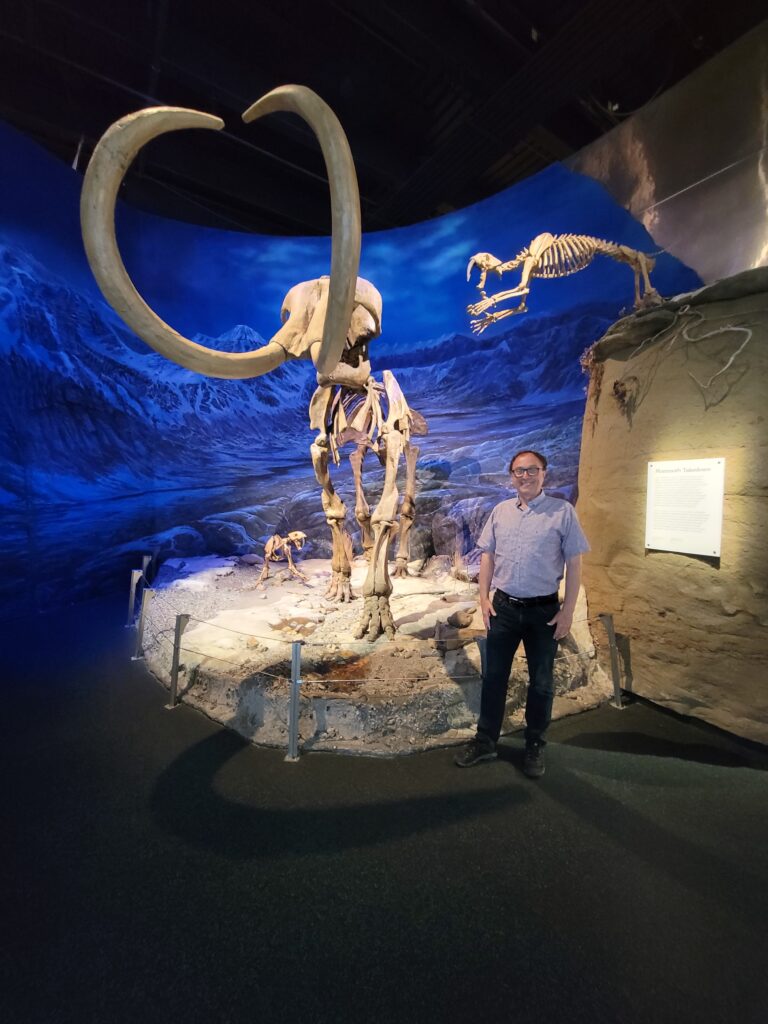 A Pouncing Saber-toothed Tiger